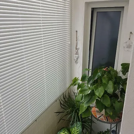 Apartamento Petit Bonheur - Via Giacchero Savona